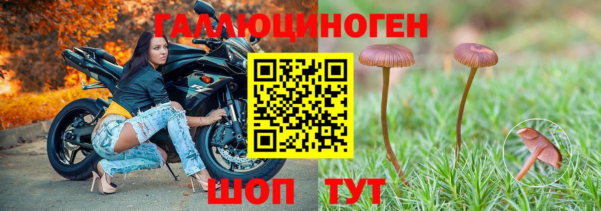 Псилоцибиновые грибы MAGIC MUSHROOMS  Псилоцибиновые грибы GOLDEN TEACHER  Вход с VPN  Октябрьский 