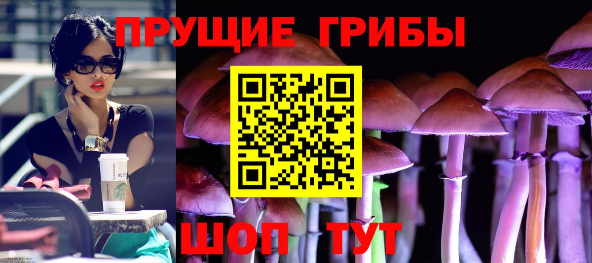 Галлюциногенные грибы Psilocybe Октябрьский