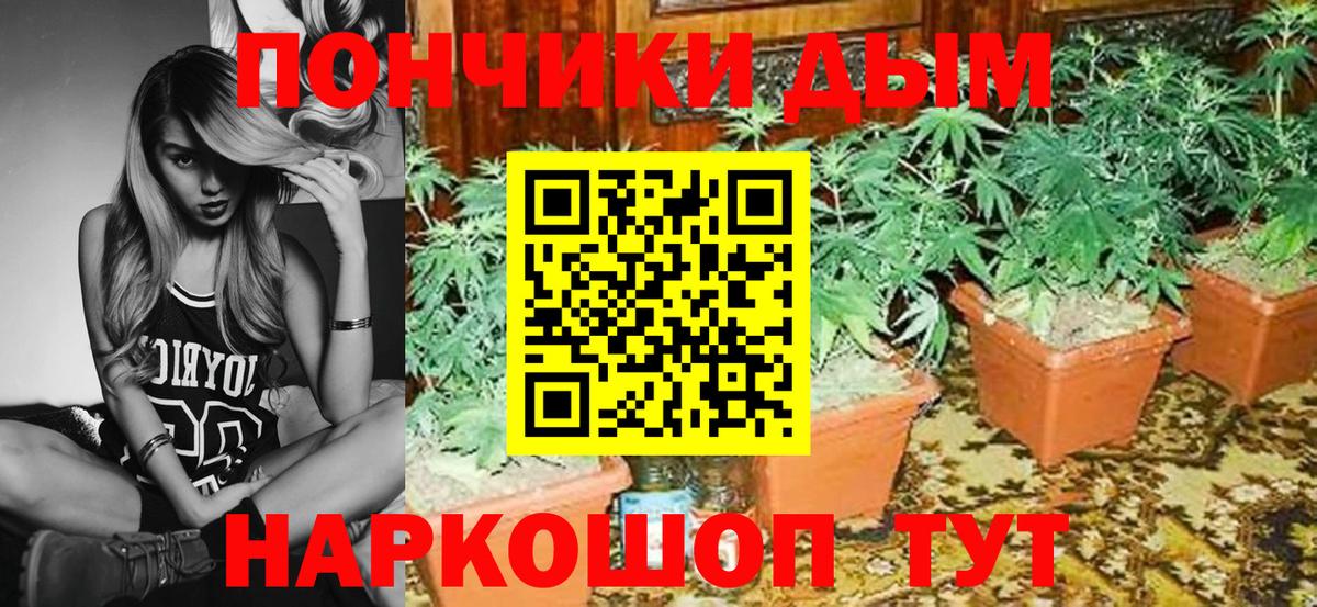 Марихуана OG Kush Октябрьский